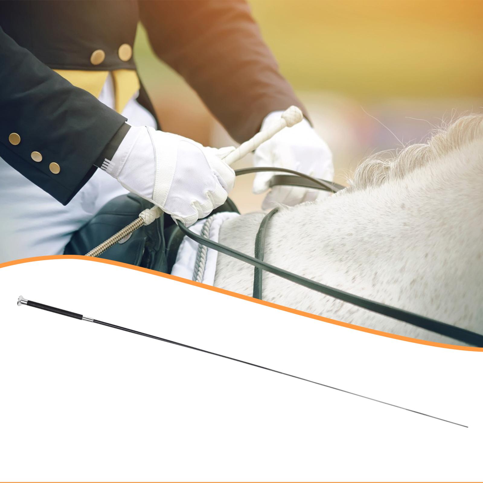Langlebiger Metall-Nylon Verst – Riding Crop Dressage Bewertung und Preis